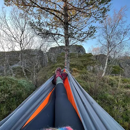 Hus I Lofoten *