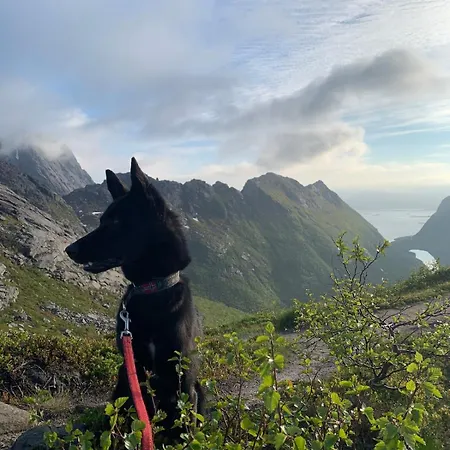 Hus I Lofoten Feriehus *